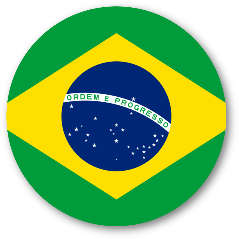 brazil socrasat flag